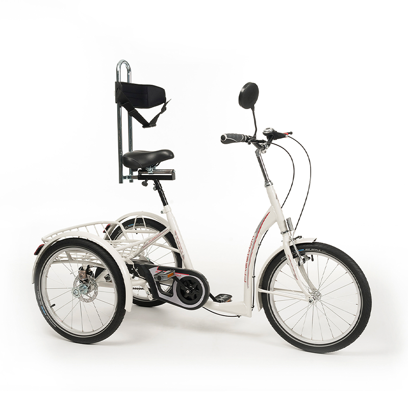 Tricycle adolescent