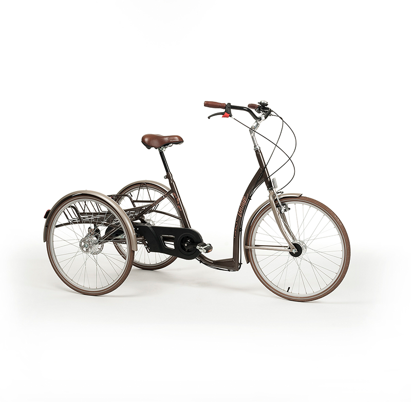 Tricycle Adulte
