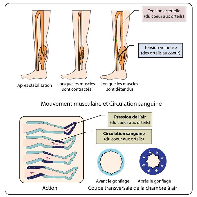 pressotherapie jambes