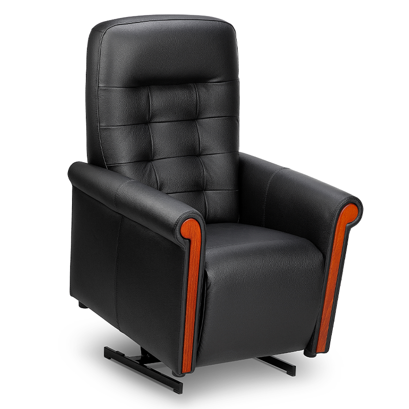 fauteuil electrique bastide