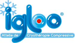 Igloo