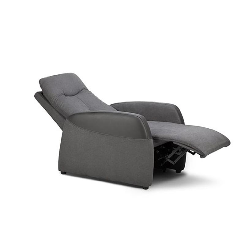 Fauteuil Releveur 2 Moteurs le Français