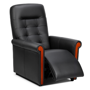 Fauteuil relax bastide Fauteuil releveur electrique