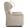 fauteuil releveur electrique