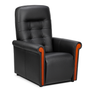 Fauteuil releveur electrique