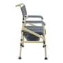 Chaise toilette pour personne âgée