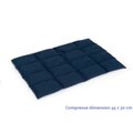compresse-lin-45x30